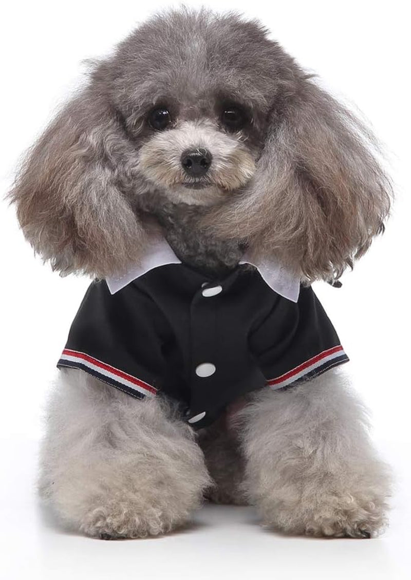 Fashion Couture - Formal Tuxedo with Bow Tie for Small Dog Teddy Chihuahua Bichon Frise Black XL
